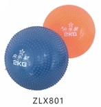 ���������� ��������� ZLX801 (1 ��, 2 ��, 3 ��)