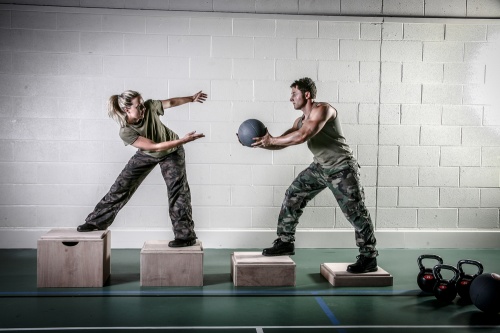 PLyoBox ���������� 4 � 1