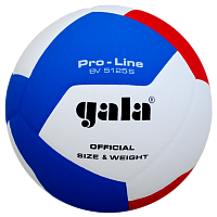 ��� �������� Gala Pro-Line BV5125SA (12 �������)