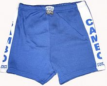 ����� ��� ����� FIAS (�����)