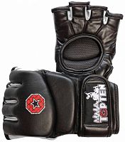 �������� TOP TEN Professional MMA ���. 2333