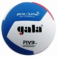 ��� ������������ GALA Pro-line BV5595S (������� FIVB)