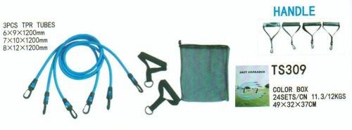 ����� ��������� ���������� TS309