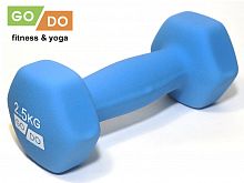 ������� GO DO ����������� 2,5 ��