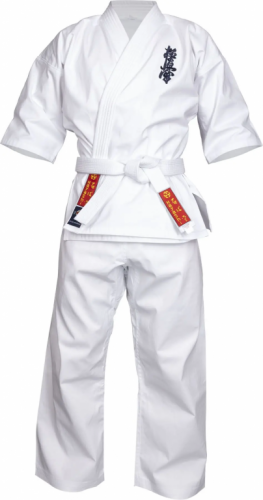 ������ Hayashi KYOKUSHINKAI (�����������)
